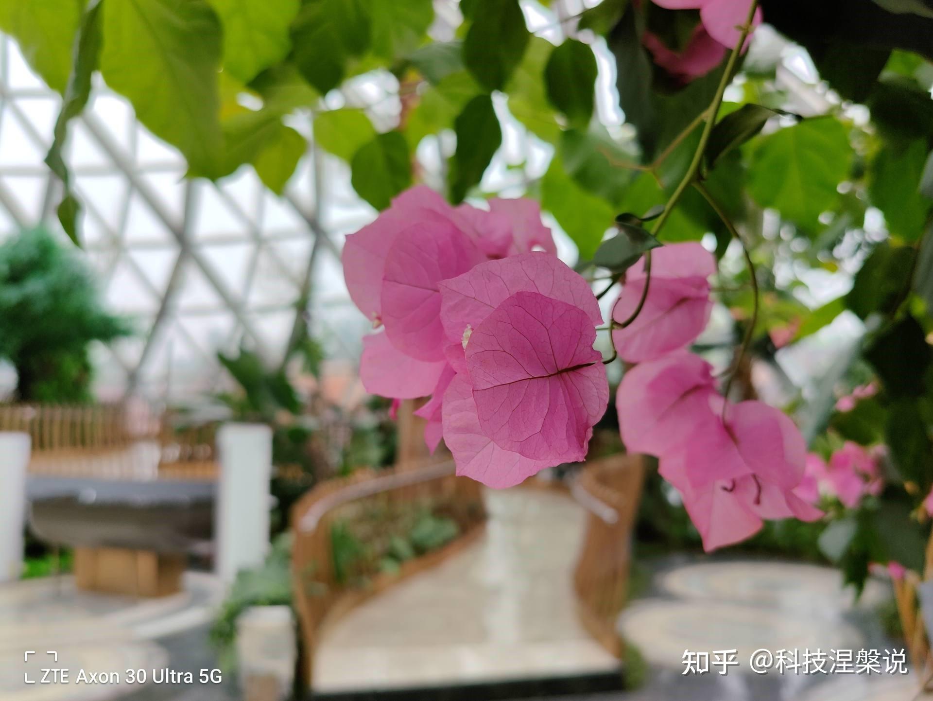 昔日王者归来之作究竟如何中兴axon30ultra评测