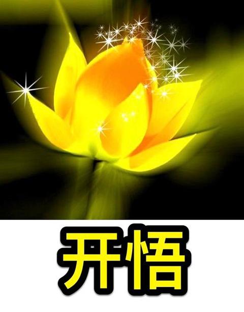 开悟只是持续不断发现真相的过… 阅读全文