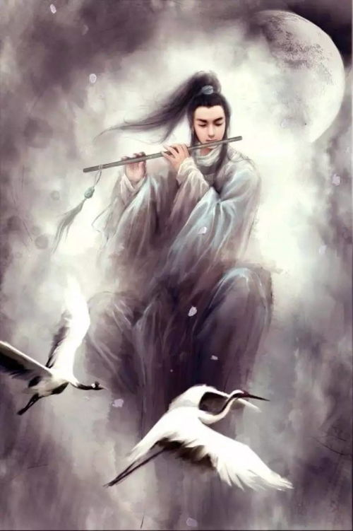 重阳节习俗,中医"悬壶济世"的代称,竟与八仙之一的费长房@韩湘子有关