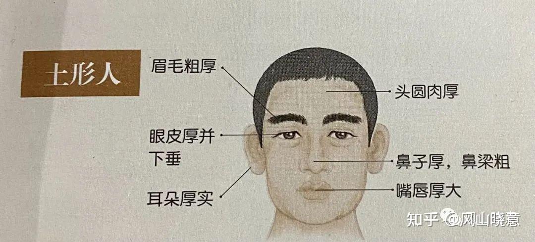 身形外貌:肤色偏黄,头大面圆,多数眼大而圆,眉毛粗而浓,鼻子较大且