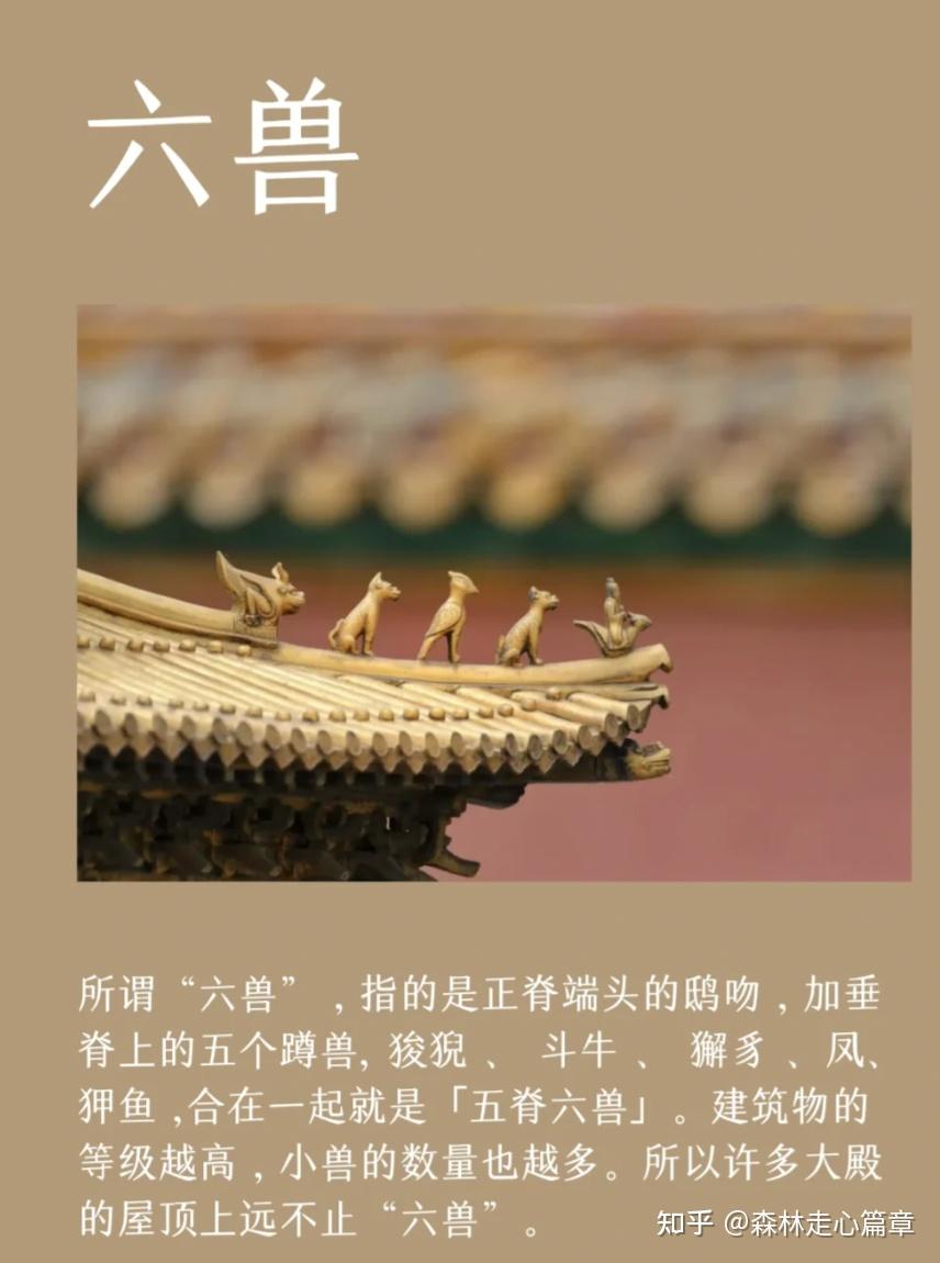 中国建筑文化篇章：五脊六兽 - 知乎