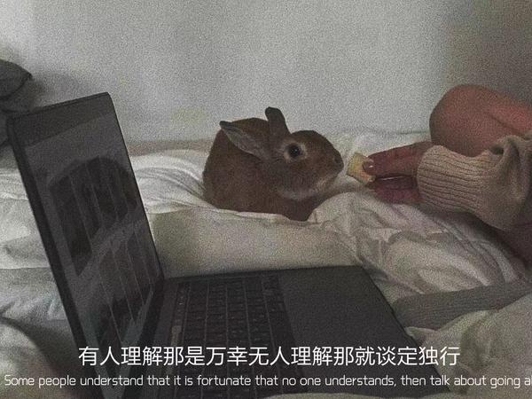 悲伤的文案短句(遗憾伤感的心酸文案)