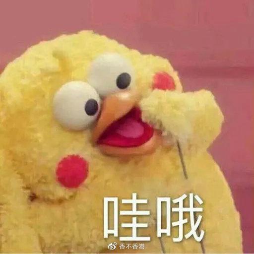 香港居家抗疫成常态 在港如何网购防疫物资 知乎 香港居家抗疫成常态 在港如何网购防疫物资 知乎