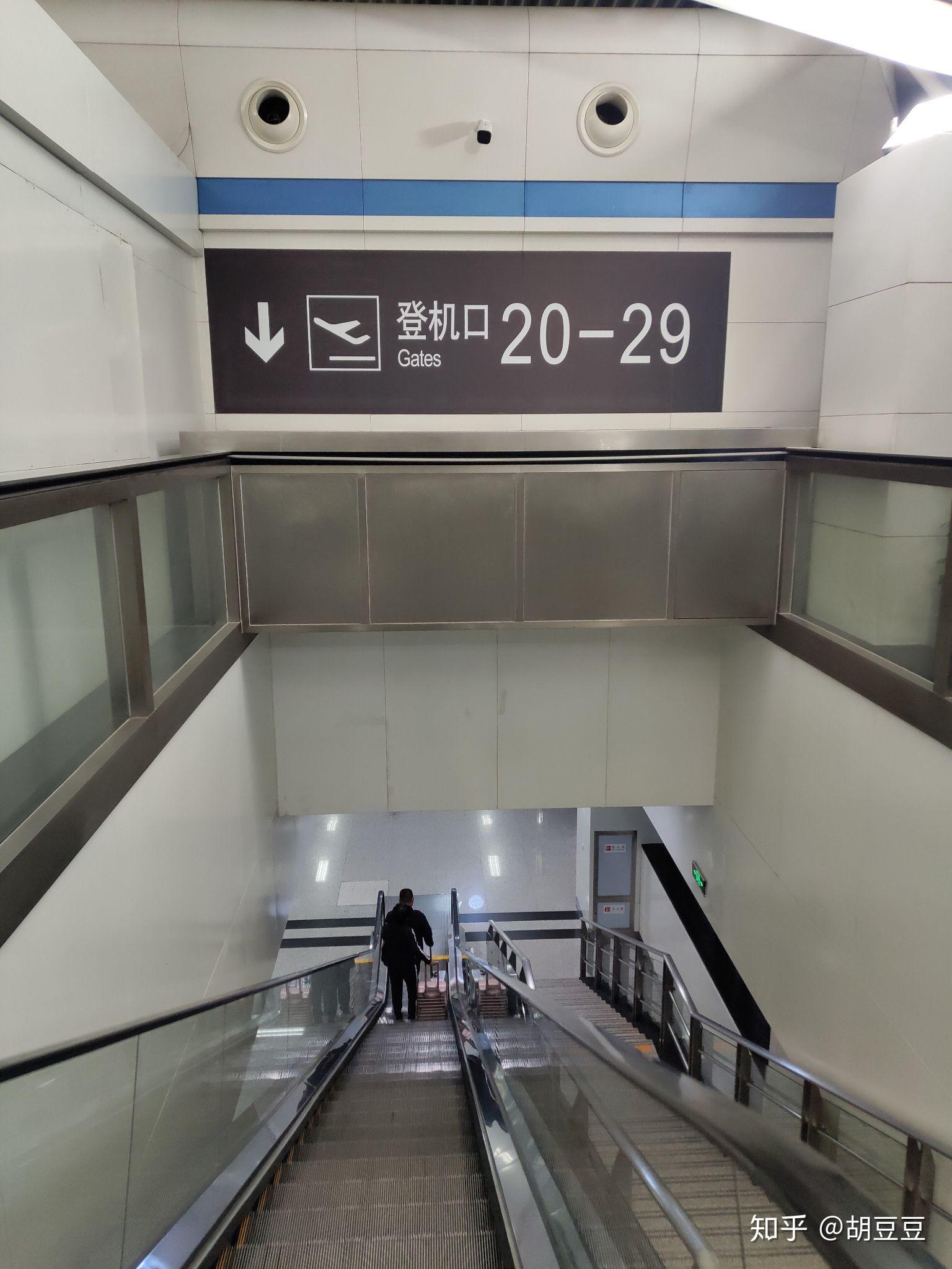 v2-446aa279cd2668b40233c588e7104589_r.jpg