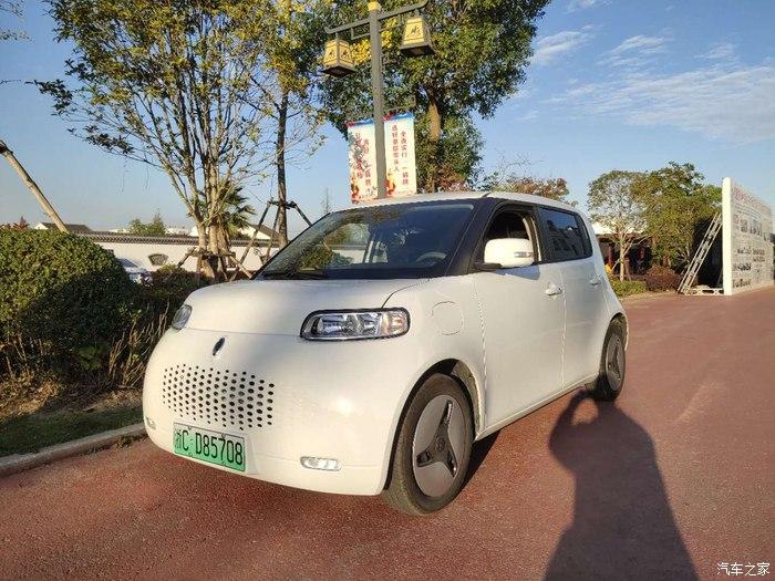 绿色城市精灵欧拉白猫感受它的魅力吧
