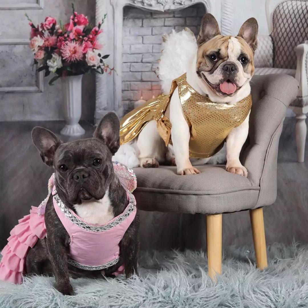 当法斗和英斗都穿上裙子一个是公主另一个是主公