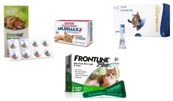养猫入门 新晋铲屎官攻略(下) - 知乎
