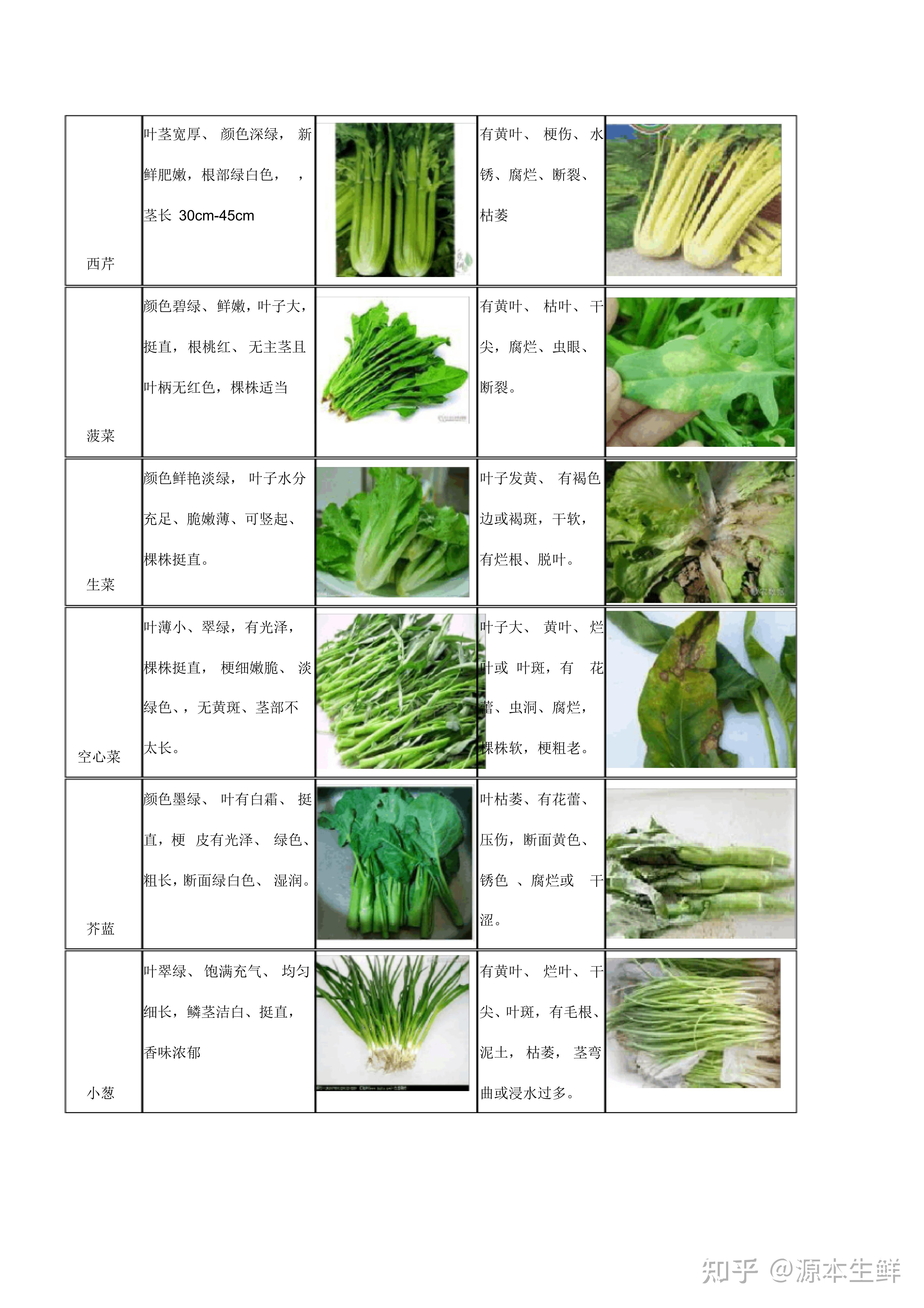 蔬菜营养表图片素材-编号36984567-图行天下