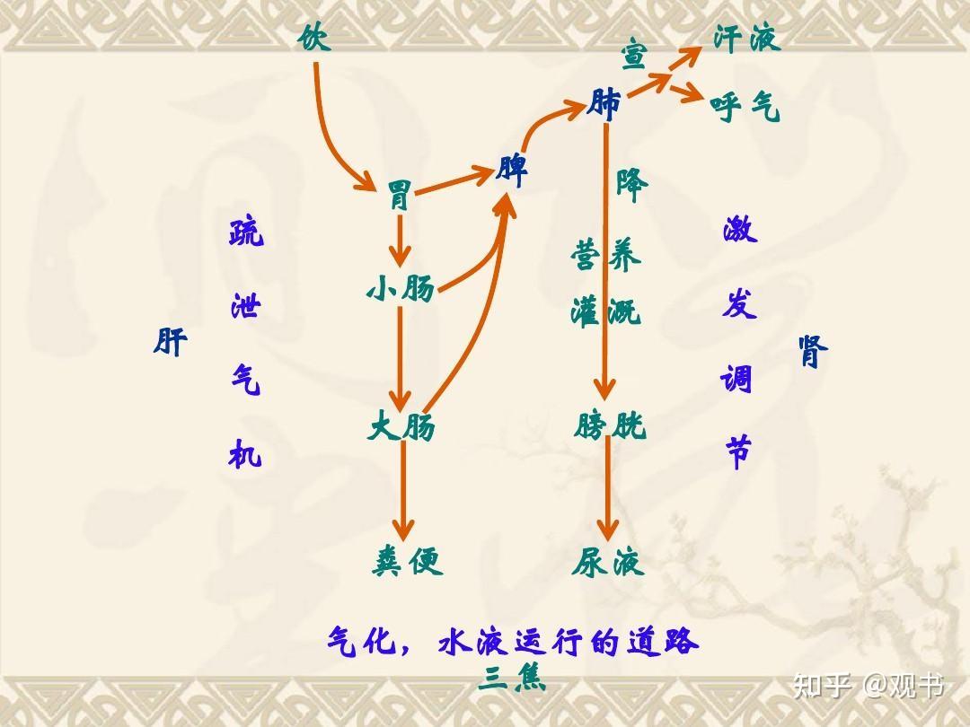学习笔记:梳理中医基础理论的脉络(四)精、气、血、津液 - 知乎