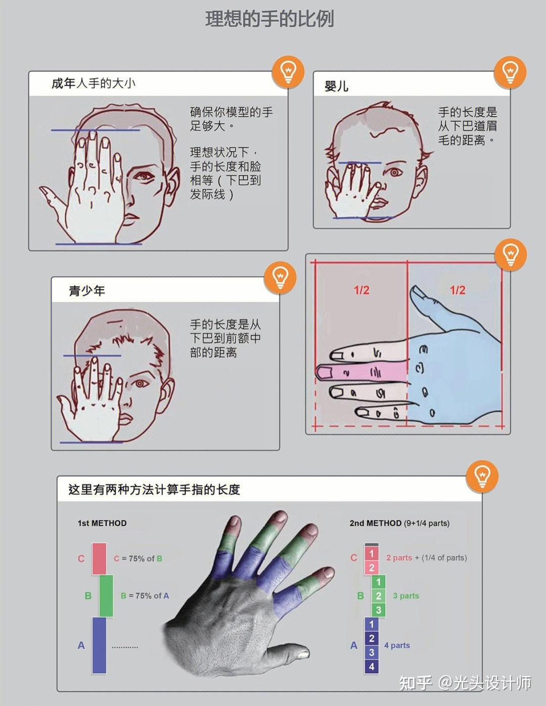 手部建模如何布线?1分钟快速理解手部结构 - 知乎
