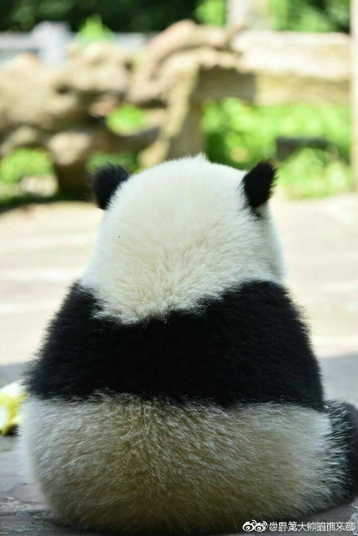 你最喜欢的背影照片是哪张?