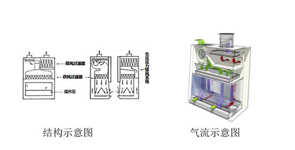 生物安全柜气流图图片