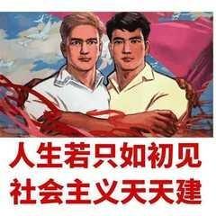 华孙杨张合体无敌