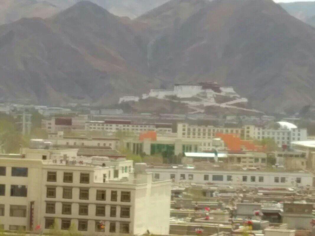 如何看待几名藏族儿童,看到高原军车经过立即