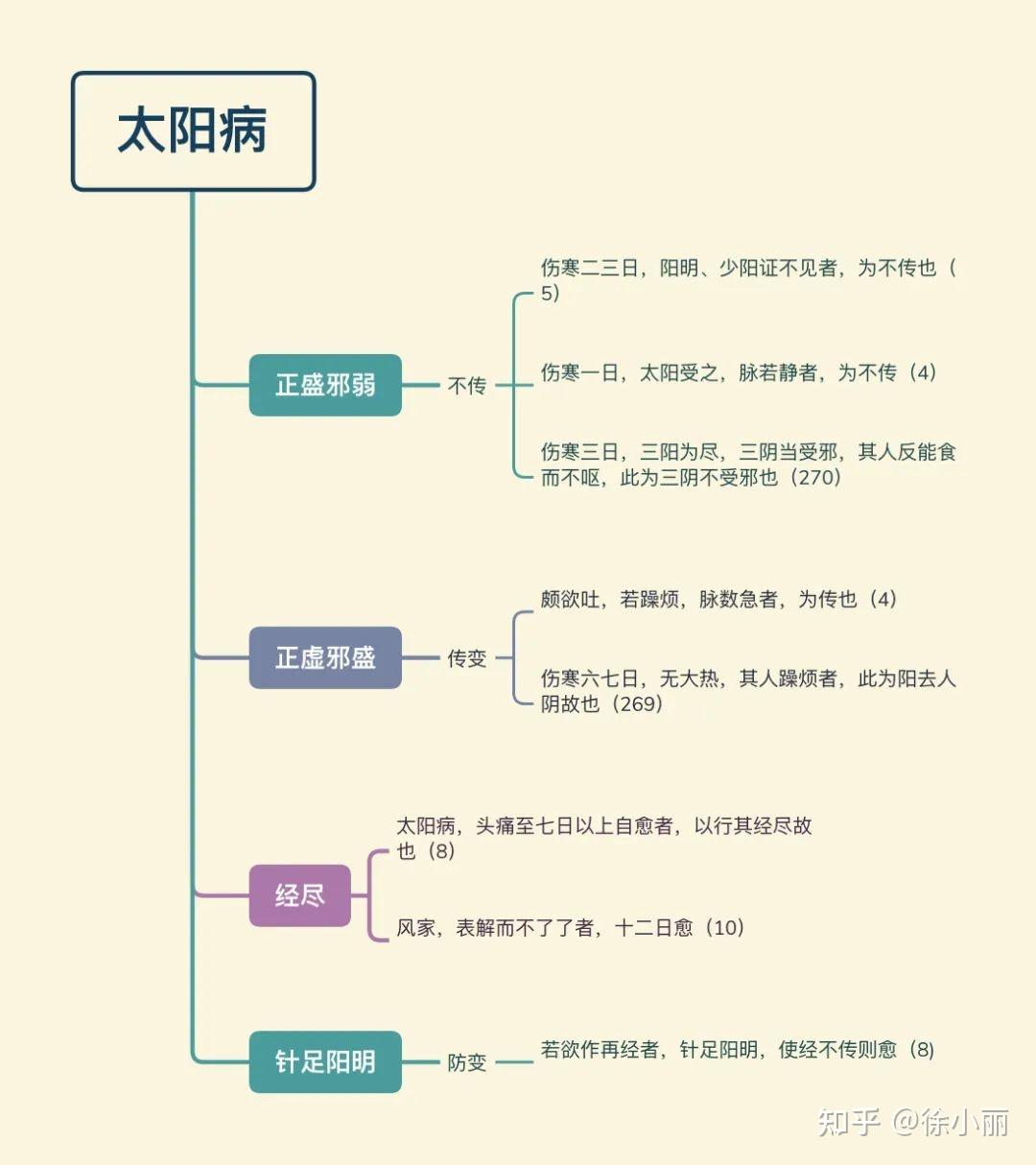 《伤寒论》思维导图(干货) - 知乎
