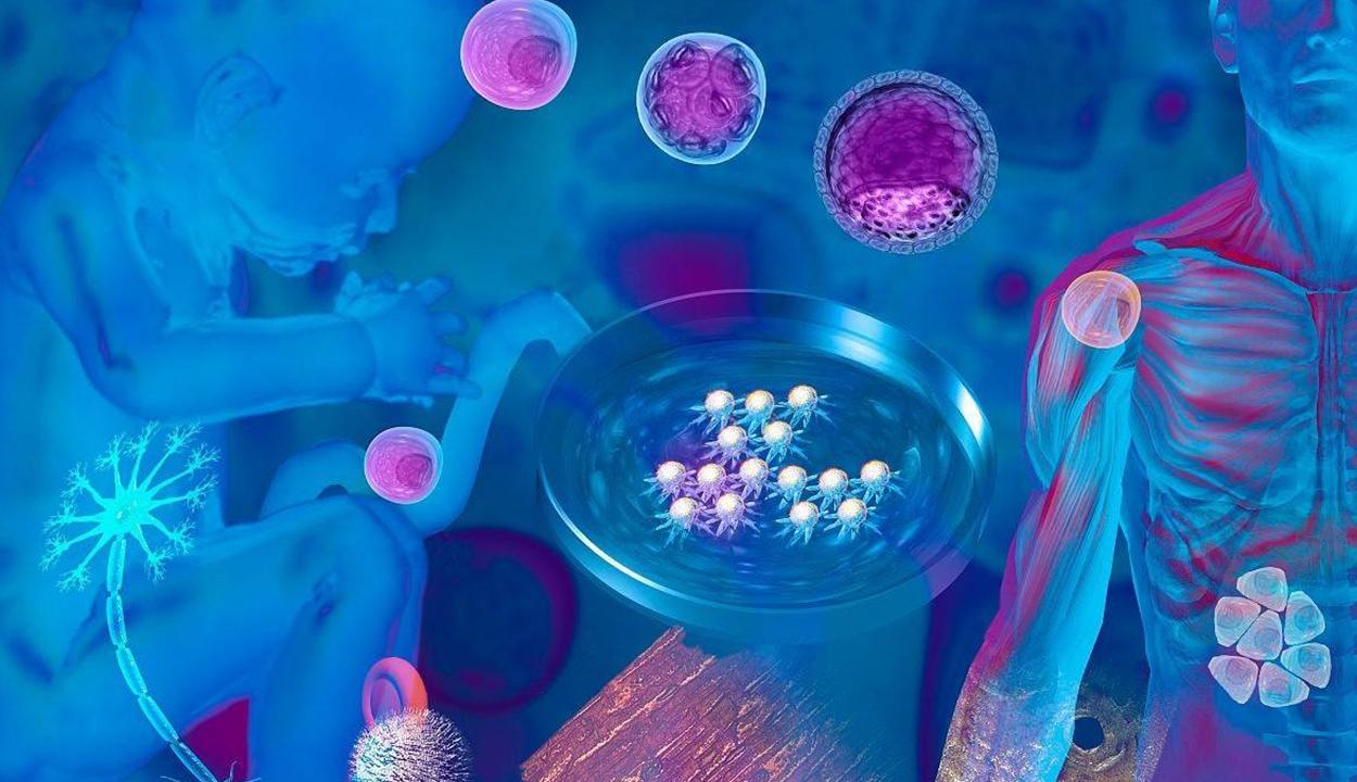 v2-44c22d3aa2d62b3f225968f757d22015_r.jpg