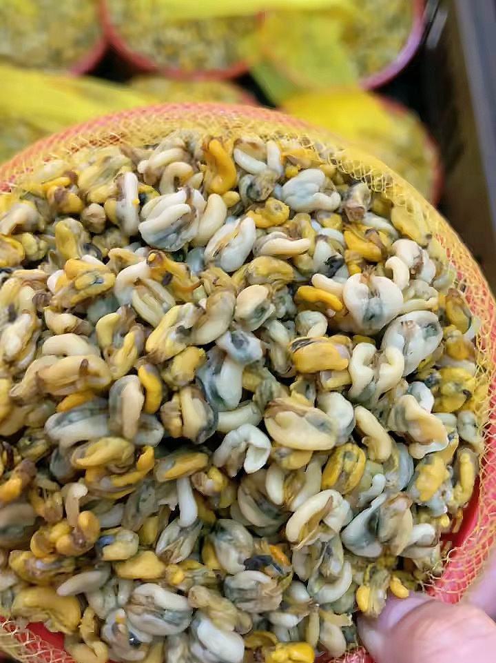 似米而非米潮州的海底薄壳米