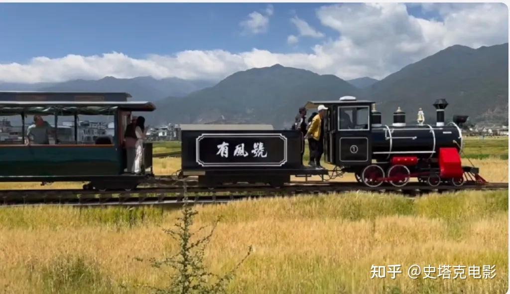 同是戴簪花,为啥「较土」的赵丽颖被央视力挺,毛晓彤,陈都灵却没出圈 - 知乎