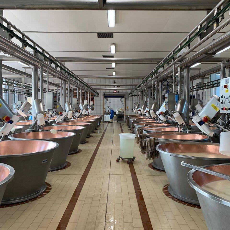 spd米兰工业设计学院实地考察帕尔玛奶酪工厂 - 知乎