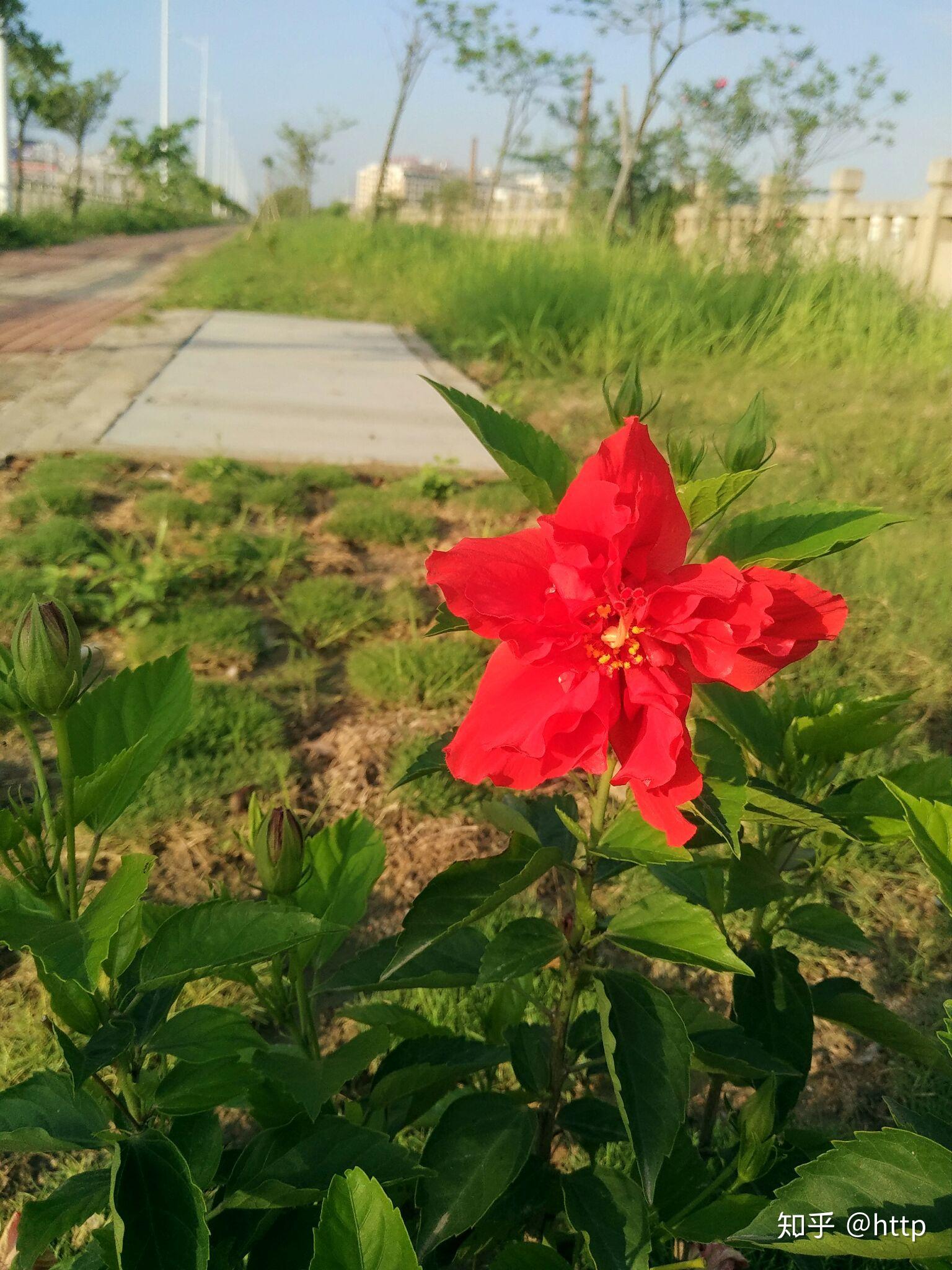 查完2018高考成绩,有何感受?