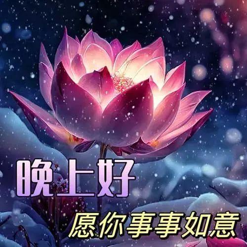 2025漂亮的8张晚上好动态美图，最美晚上好祝福图片带字温馨 - 知乎