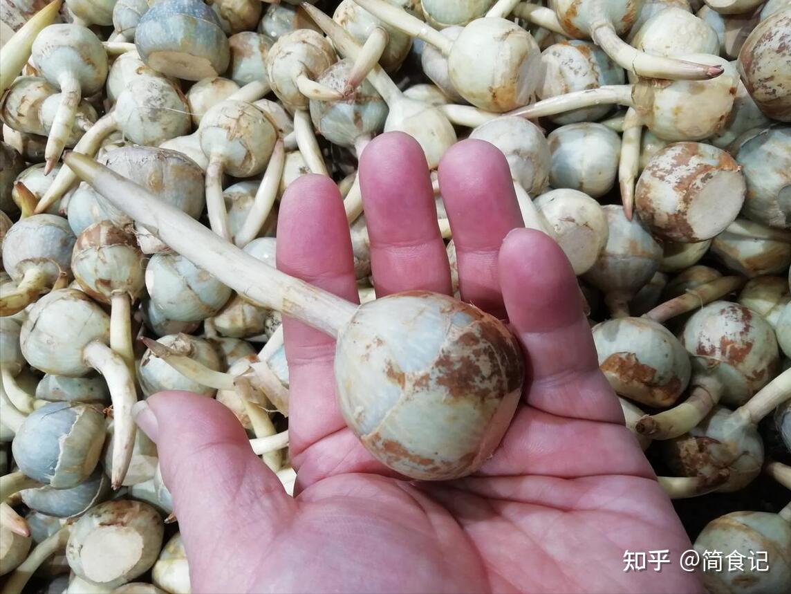1月，这4种“无农残”的蔬菜使劲吃，再贵都要买，可惜很多人不懂 - 知乎