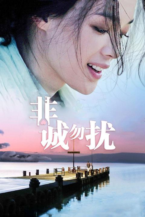 如何看待非诚勿扰电影里舒淇扮演的笑笑这个角色