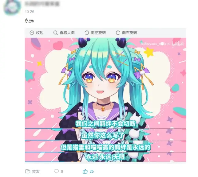 从20到20万，猫雷的中文互联网大冒险 - 知乎