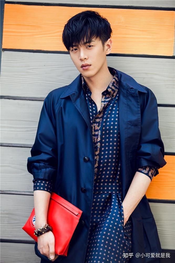 何晋龙解读张若昀长相分析