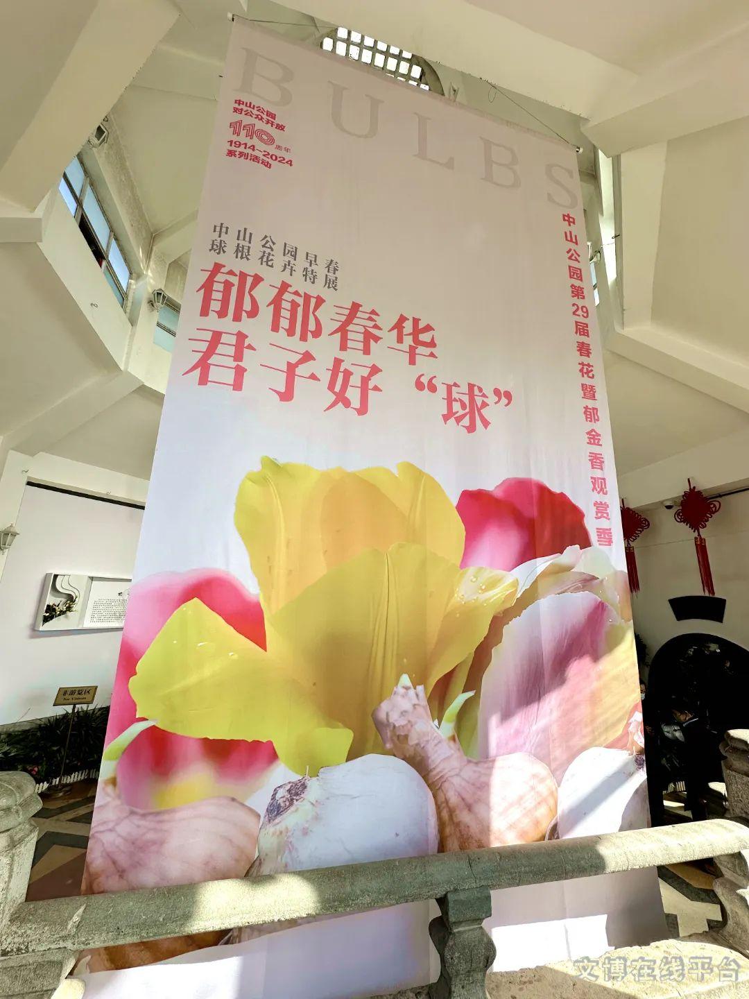 春日探花之旅福寿绵长中山公园第29届春花暨郁金香观赏季