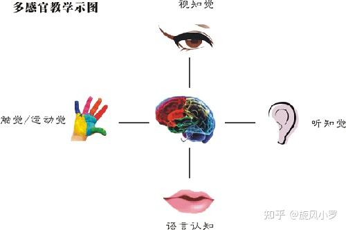 感知综合障碍 zhuanlan.zhihu.com