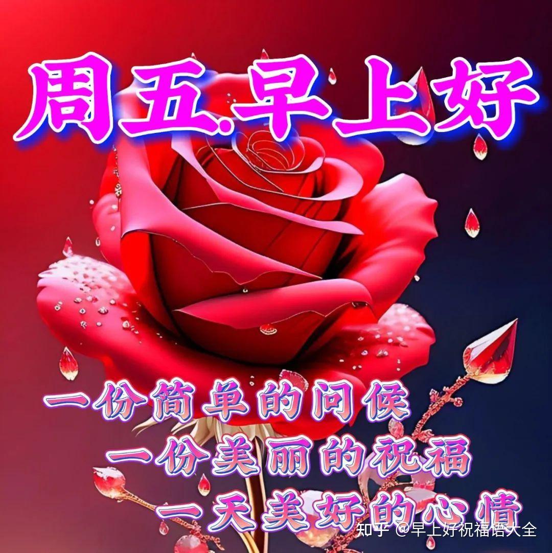 8月4日周五早上好，最新版早安祝福语 - 知乎