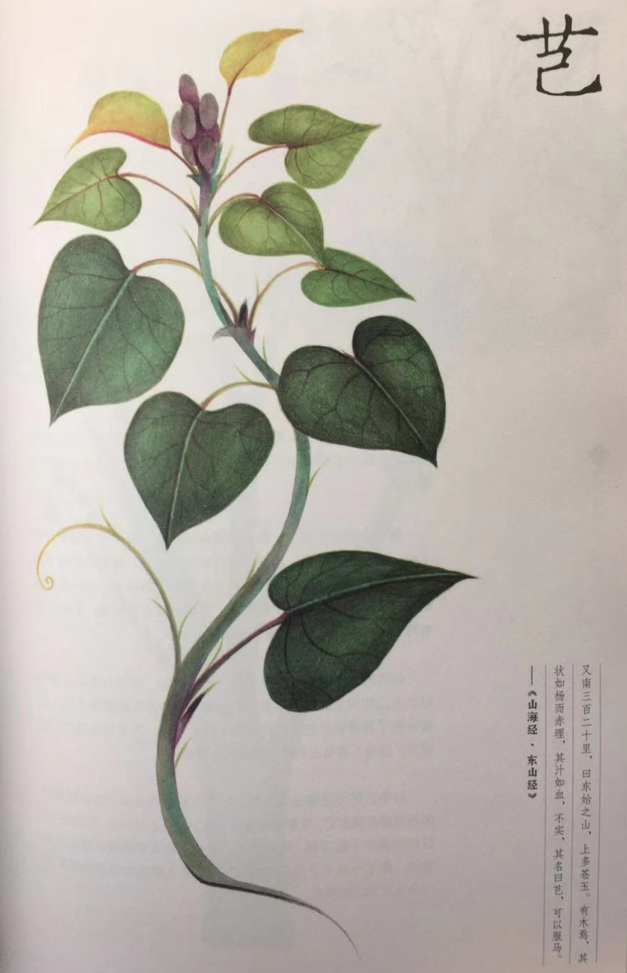 山海经北山经异域奇兽古今对照整理东次四经篇