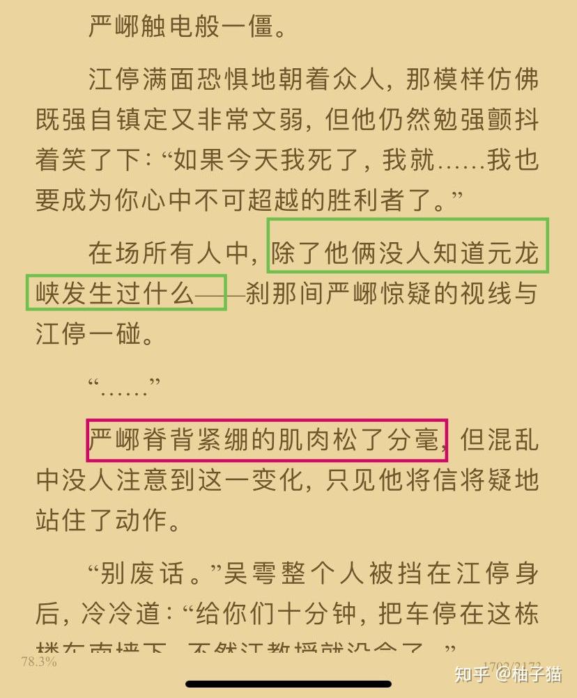 破云2中127章江停对严峫说的话是暗示什么吗