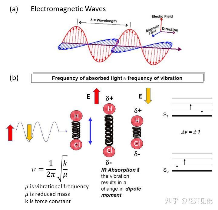 为什么红外吸收是因为偶极矩的变化而拉曼散射是因为极化率的变化