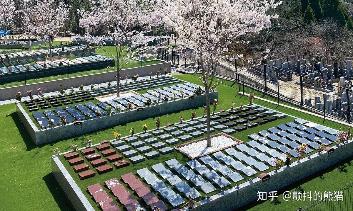 为什么日本开始流行"树葬"?