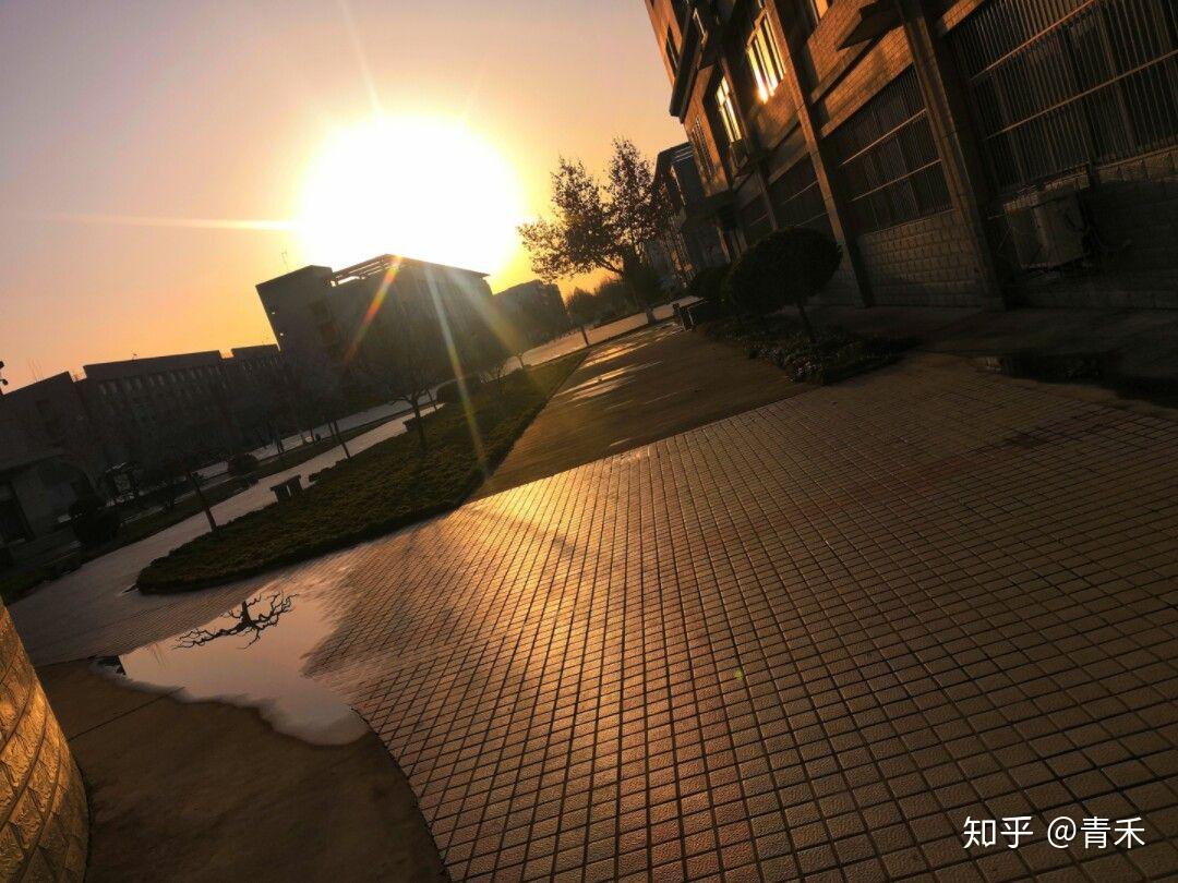 什么样的大学,才是你心中理想的大学! - 知乎