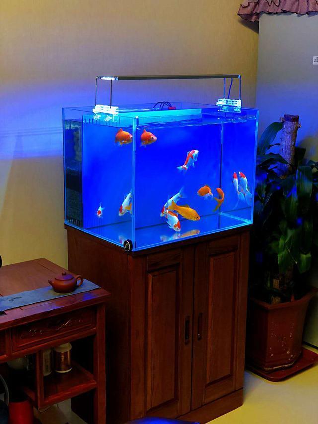 鱼缸中如果超大量的充氧可能会对水质产生一定的影响