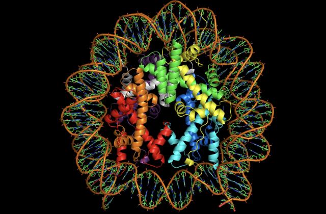 赞同了该文章 摘要:从生物大分子形成到多分子体系出现是一个质的飞跃