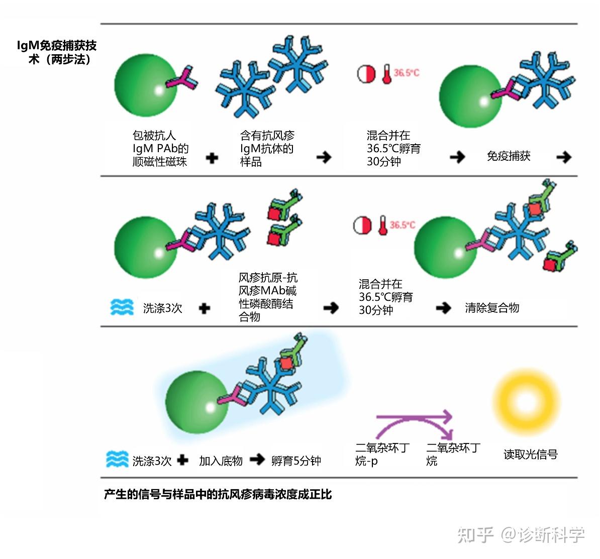 磁珠 | 化学发光测定的工作原理 - 知乎