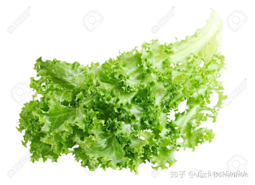 你还知道其他西餐中特有的(尤其是自己喜欢的)蔬菜英文名