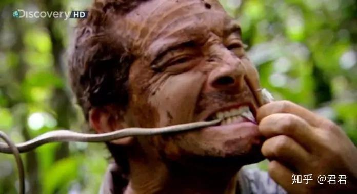 重口预警贝爷的食谱真tm下饭