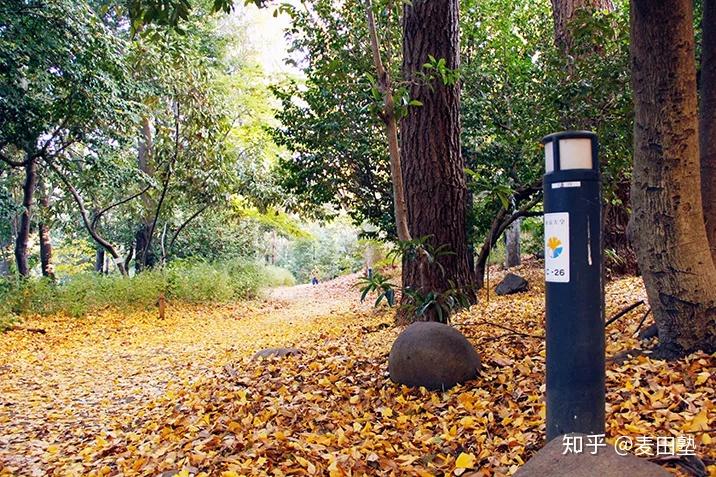 东京大学和清华大学选择哪一个?