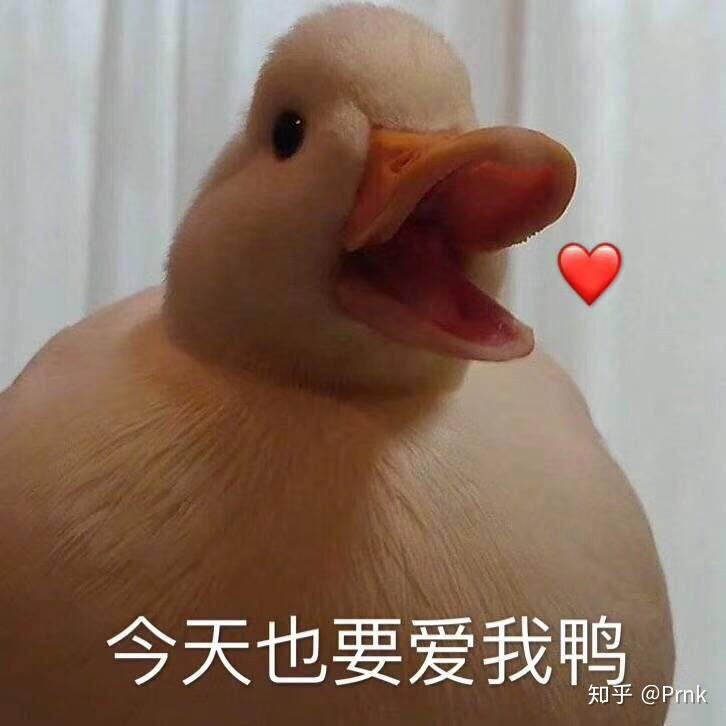 v2-45a5af677e846c50ff11003c0b5cdc51_r.jpg