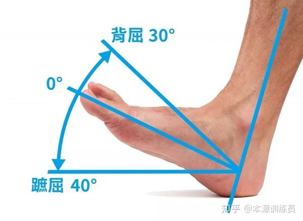 足背屈受限的解决方案 知乎