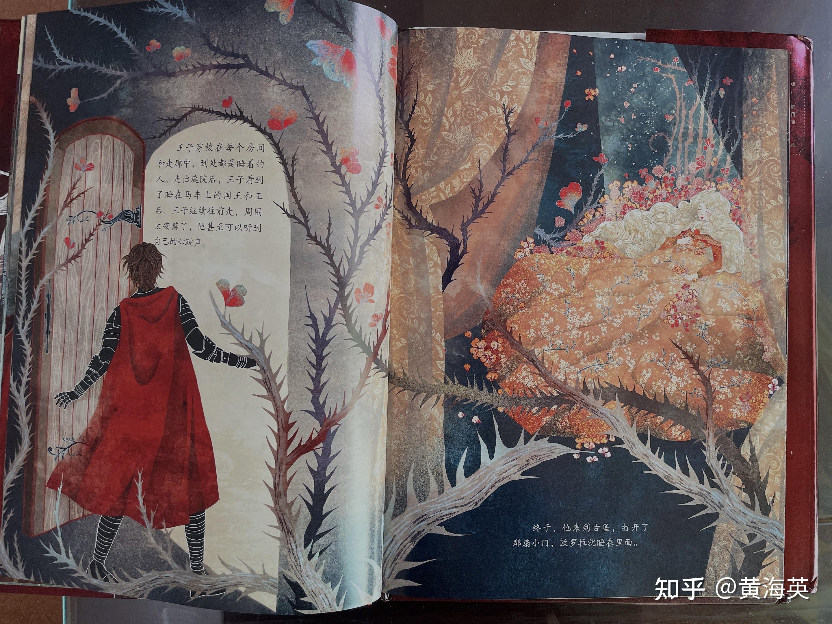 绘本爱分享|颜值担当的童话故事《睡美人》