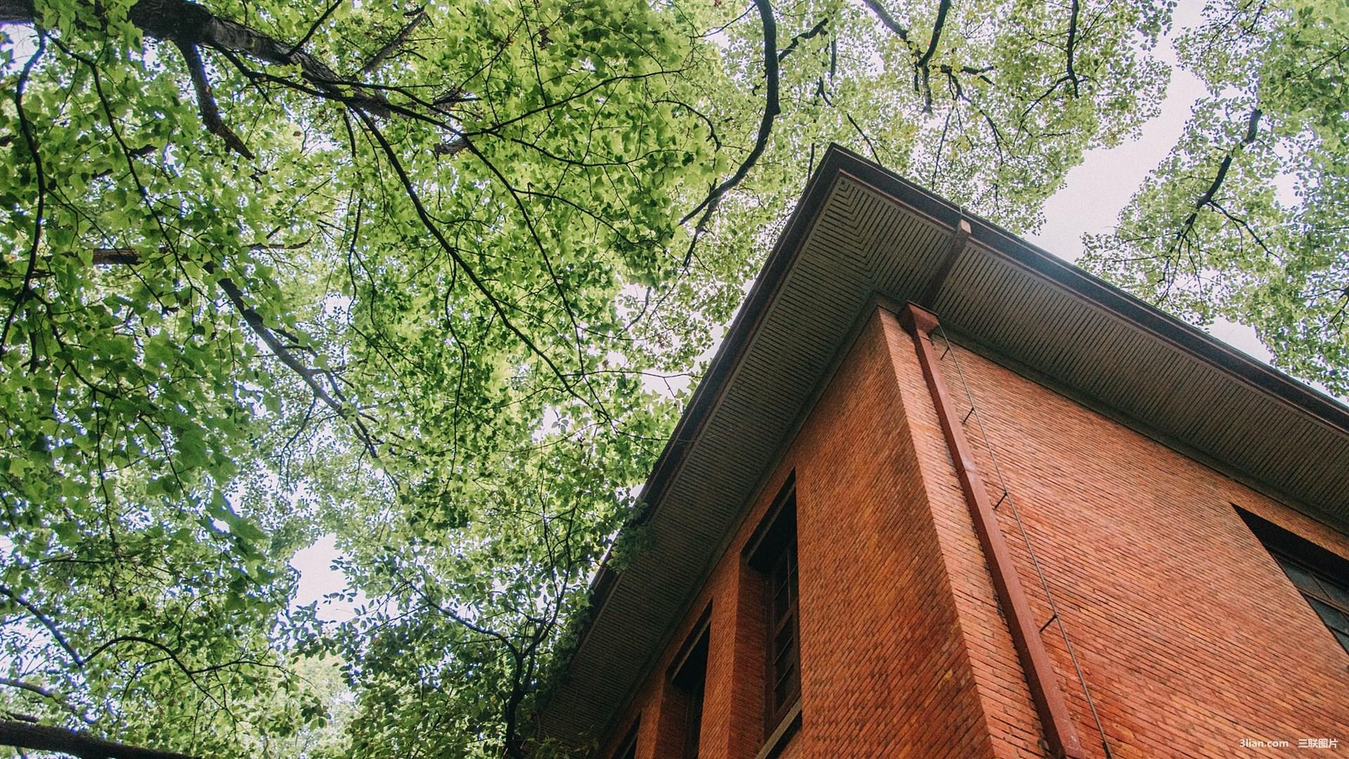 在家带小孩的年轻主妇如何在家挣钱?