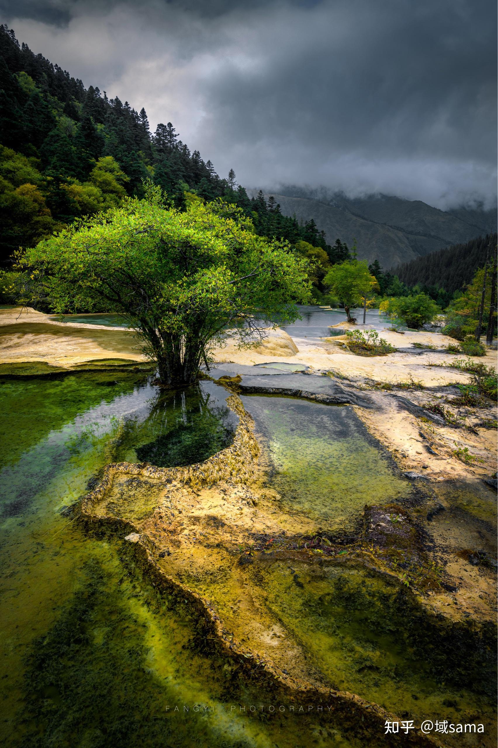 想请问一下这些图有什么缺点以及关于摄影知识的一些提问?