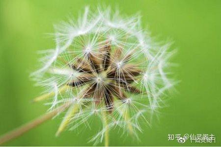 v2-45cf4c2fac2f12b5c5ae2d749c13baa9_r.jpg