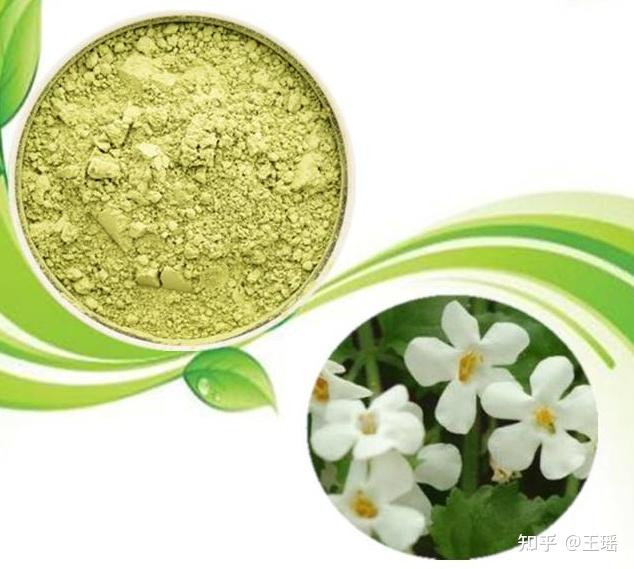 关于bacopamonnieri假马齿苋在运动补剂中的作用与效果